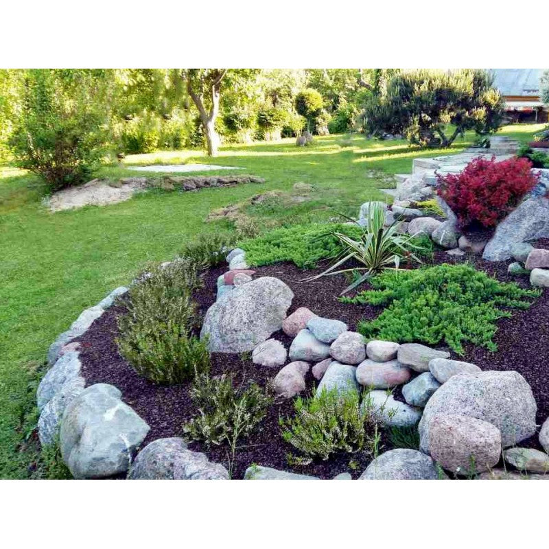 Buckwheat hull mulch